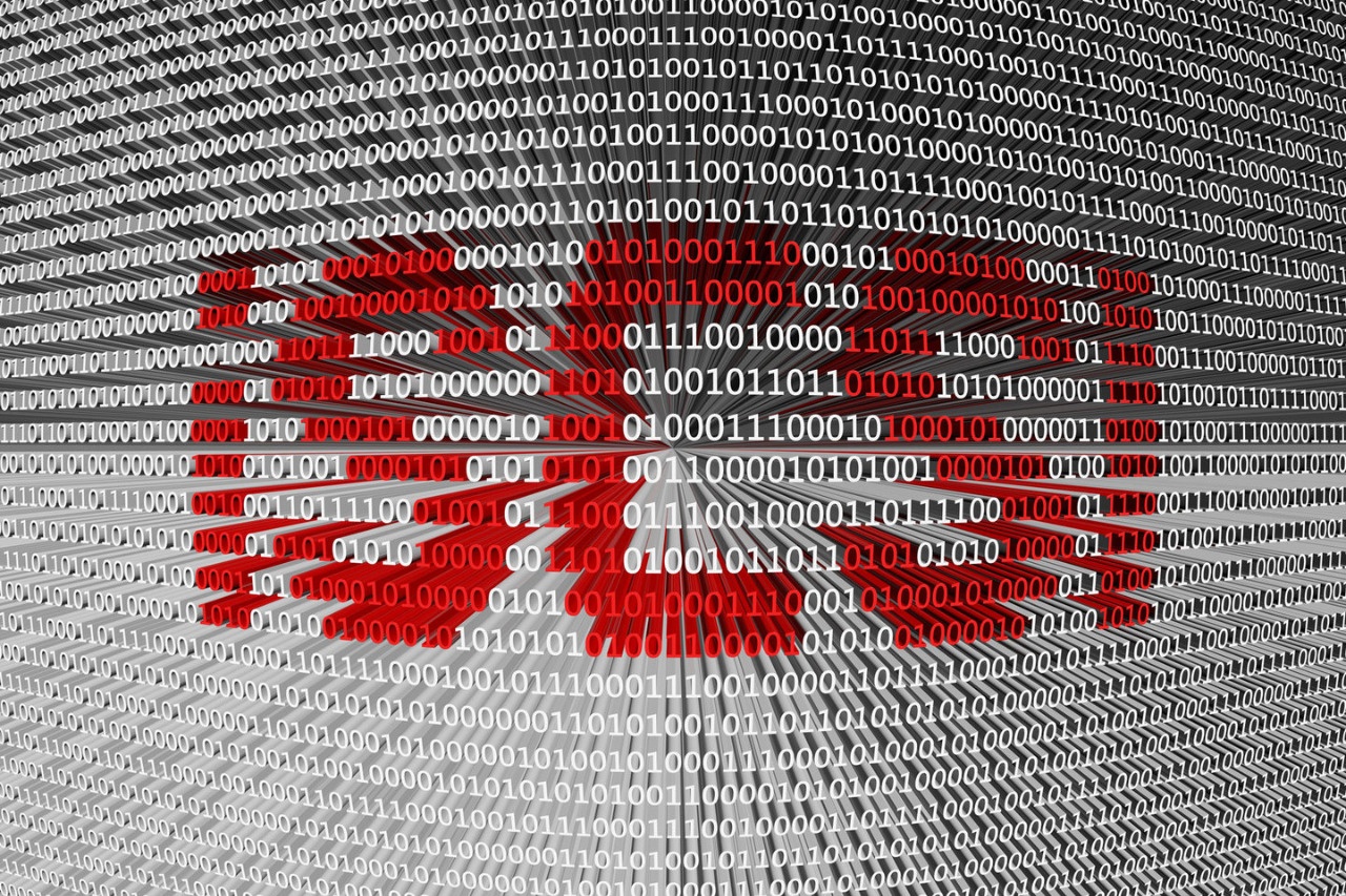 An overview of SAN protocols